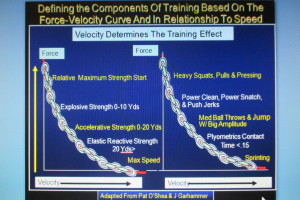 Al V Force Velocity